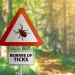 close-up of warning sign with text BEWARE OF TICKS, against defocused forest background Photo by Christian Horz/iStock