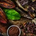 Photo by fcafotodigital/iStock