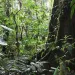 Photo by Kikkerdirk/iStock
