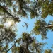 Photo by yalcinsonat1/iStock
