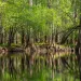 Photo by Jonathan Mauer/iStock