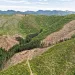 This logging involved nearly completing the clearcut logging of the Jetty Creek Drainage since just the year 2000, when the first clearcut was done.