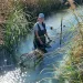  Emma Priger is wearing waders and smiling at the camera while holding a hoop net in a narrow tallgrass-lined stream.
