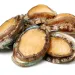 abalone