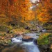 mountain stream