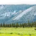 Moose cross the tundra Sheenjek River, Arctic National Wildlife Refuge.