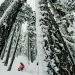 Whistler Mountain borders British Columbia's Garibaldi Provincial Park and provides access to a glacier-capped, cirque-scooped skiable wilderness.