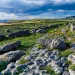 The burren