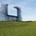 Non Sign II, an installation in Blaine, Washington
