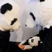At a research center in China's Wolong National Nature Reserve, scientists wear panda costumes to try to reduce human influence on a four-month-old cub before it's released into the wild.