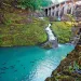For more than a century, Washington's Elwha Dam blocked chinook salmon in the Elwha River from completing their spawning run upstream.