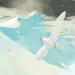 snow kestrel
