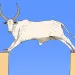 illustration of an animal standing on a splitting ground