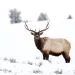 Photo by guyonbike/iStock