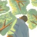 Illustration shows a man looking up at a canopy of trees
