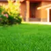 lawn