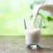 milk