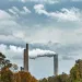 An image of an Ohio coal plant seen through trees