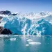 The face of the Hubbard Glacier meets the sea in Seward, Alaska