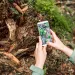 Young hiker woman taking a picture of forest details on her forest walk. 