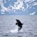 Photo by theartist312/iStock