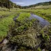 La Jara Wetlands, in the upper Rio Fernando de Taos watershed. | Photo by Jim O'Donnell courtesy of Amigos Bravos