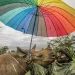 Photo by Ami Vitale from Seeing It All: Women Photographers Expose Our Planet