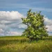 Photo by Roman Kybus/iStock