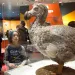 Fourth graders from P.S. 87 inspect a model of a Dodo bird 