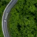 An aerial view of a forest fragmented by a road.