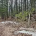Schlecht Lake Ski Trail