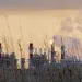power plant