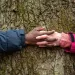 hands clasping around a tree