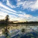 Okefenokee Swamp