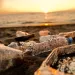 Photo by ArtMarie/iStock