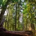 Photo by Bartfett/iStock
