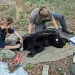 Kristin Botzet and her technician, Logan Parr, measure a tranquilized black bear who is splayed out on a medical sheet