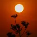 The sun rises amid high temperatures in Mexico City