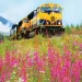 train