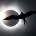 Black-and-white image of the 2024 solar eclipse with the silhouette of a frigate bird flying in front of the sun