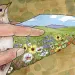  Illustration shows a hand opening up the wing of a small bird. On the inside of the wing is a field with flowers.