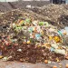 Collected organic waste at landfill.