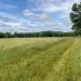 A green field with a mountain in the distance