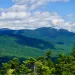 A view of the Sandwich Range Vegetation Management Project area in New Hampshire's White Mountains National Forest. 