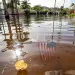 Photo by Mike Carlson/AP
