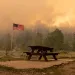 Trees burn on the horizon beyond an American flag by an empty park bench
