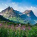 Mountains in Glacier National Park serve as the backdrop for an alpine meadow