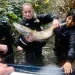 Students with United Anglers of Casa Grande collect a chinook salmon in Washington Creek. After students measure and take a small sample, they release the fish back into the habitat they were found.