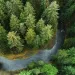 An aerial shot of towering evergreens that assure cold, clear, steady flows. Intact forests and quality waters - essential elements of healthy forests.