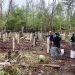 A group of people works in a forested grove.